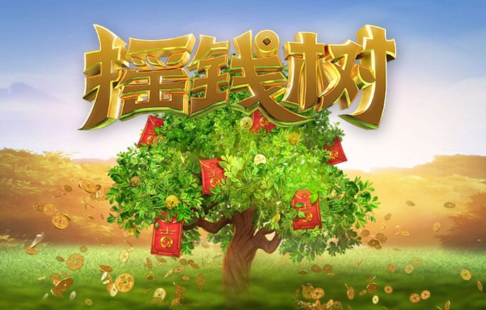 足球波胆app网站